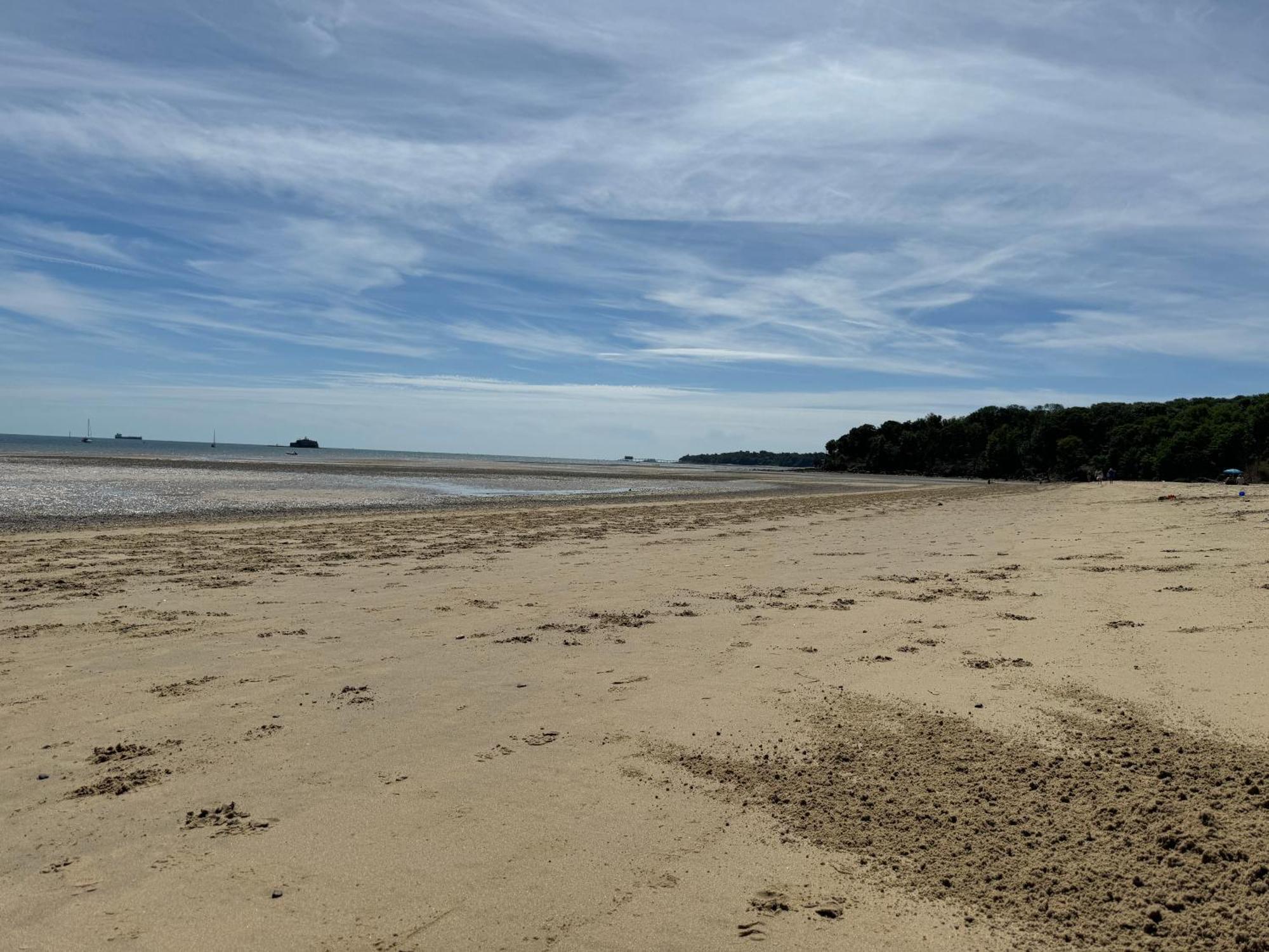 Trafalgar, Lovely Ground Floor Flat With Outside Patio Garden, Minutes Walk To Seafront Seaview Bagian luar foto